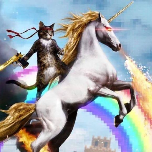 Meet your Posher, Sky - Picture 1 of 1